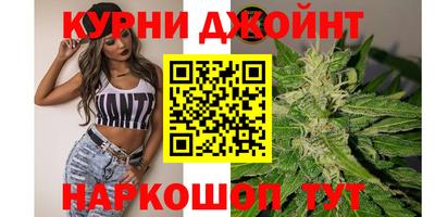 амф Новокубанск